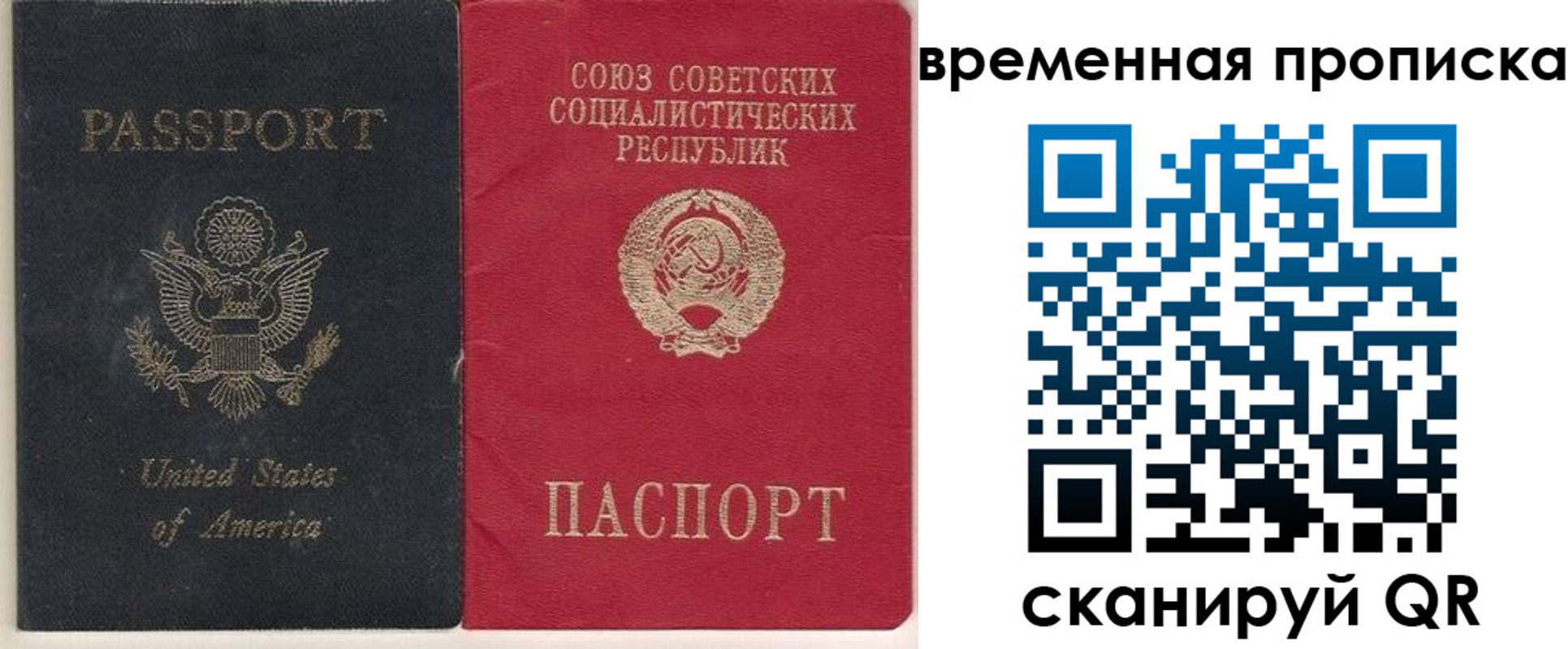 прописка для школы в Рудне